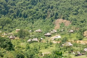 nghe-an-doanh-nghiep-bo-hoang-hang-nghin-hec-ta-dat