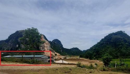 nghe-an-xu-phat-mo-da-chiem-dat-rung-san-xuat