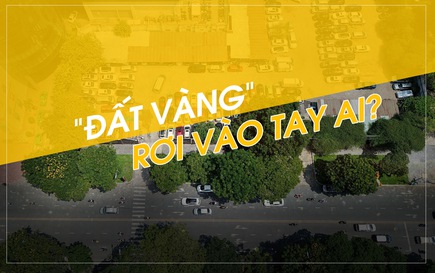 ho-hoa-kiep-dat-vang-de-lam-gi