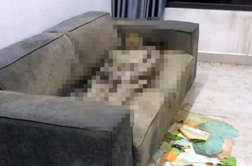 Thông tin mới vụ cô gái chết khô trên sofa: Ô tô biến mất, sim bị tháo
